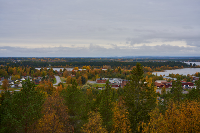 Tamron 50-400mm_3w.jpg