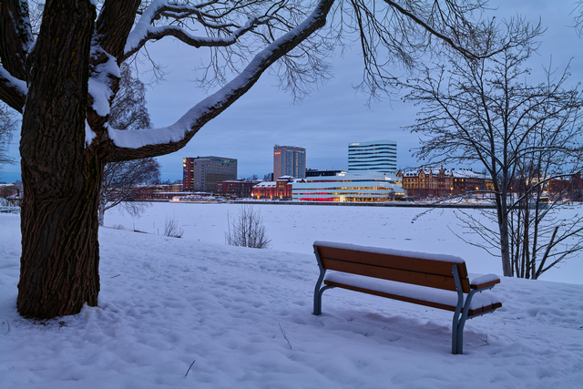 Panaosonic S 35mm f1.8_7w.jpg