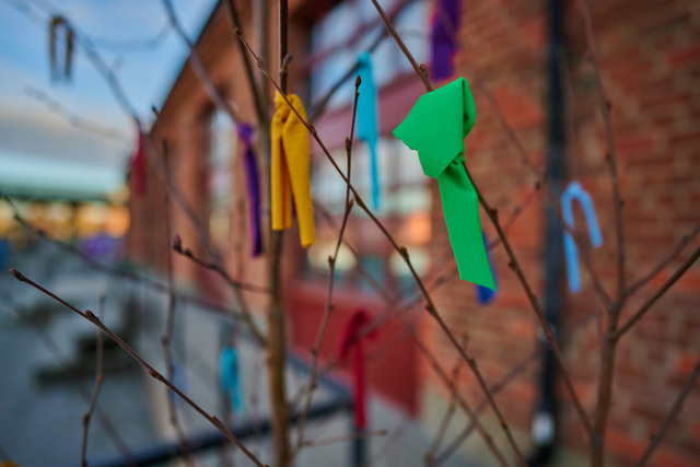 Nikon Z 20mm f1,8_10w.jpg