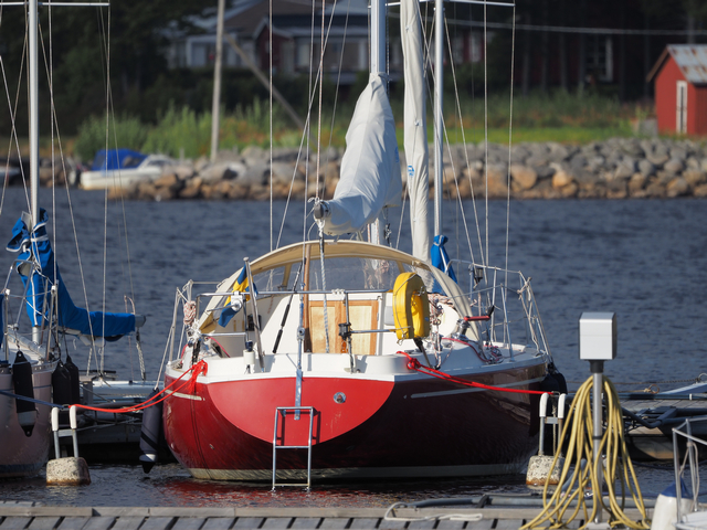 Olympus E-M10 IV_1w.jpg