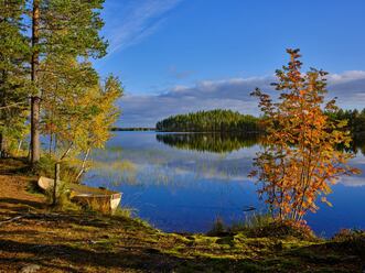 Fujifilm GF 35 70mm_blogg.jpg