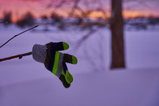 Tamron 17-70mm_11w.jpg