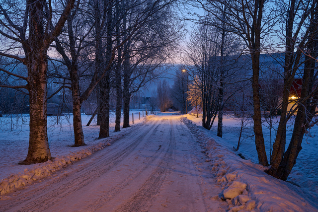 Nikon Z 24-120mm_20w.jpg