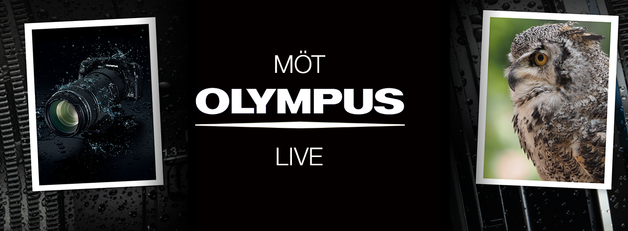 Olympus Videorum 1224x450.png