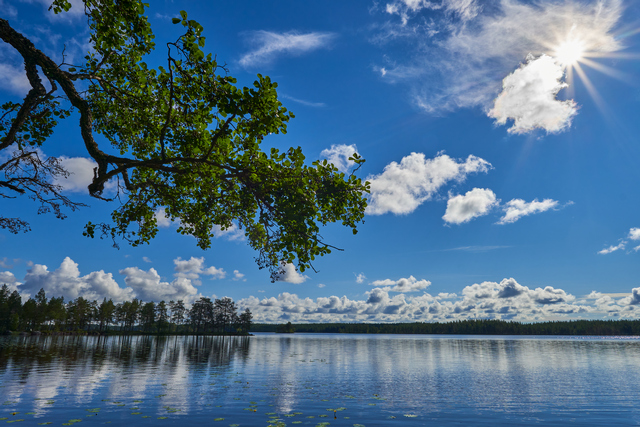 Sony 15mm f1.4_12w.jpg