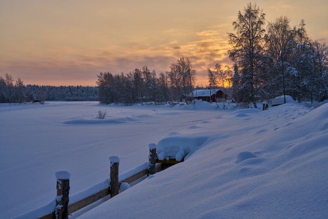 Sony FE 50mm f1.4 GM_10w.jpg