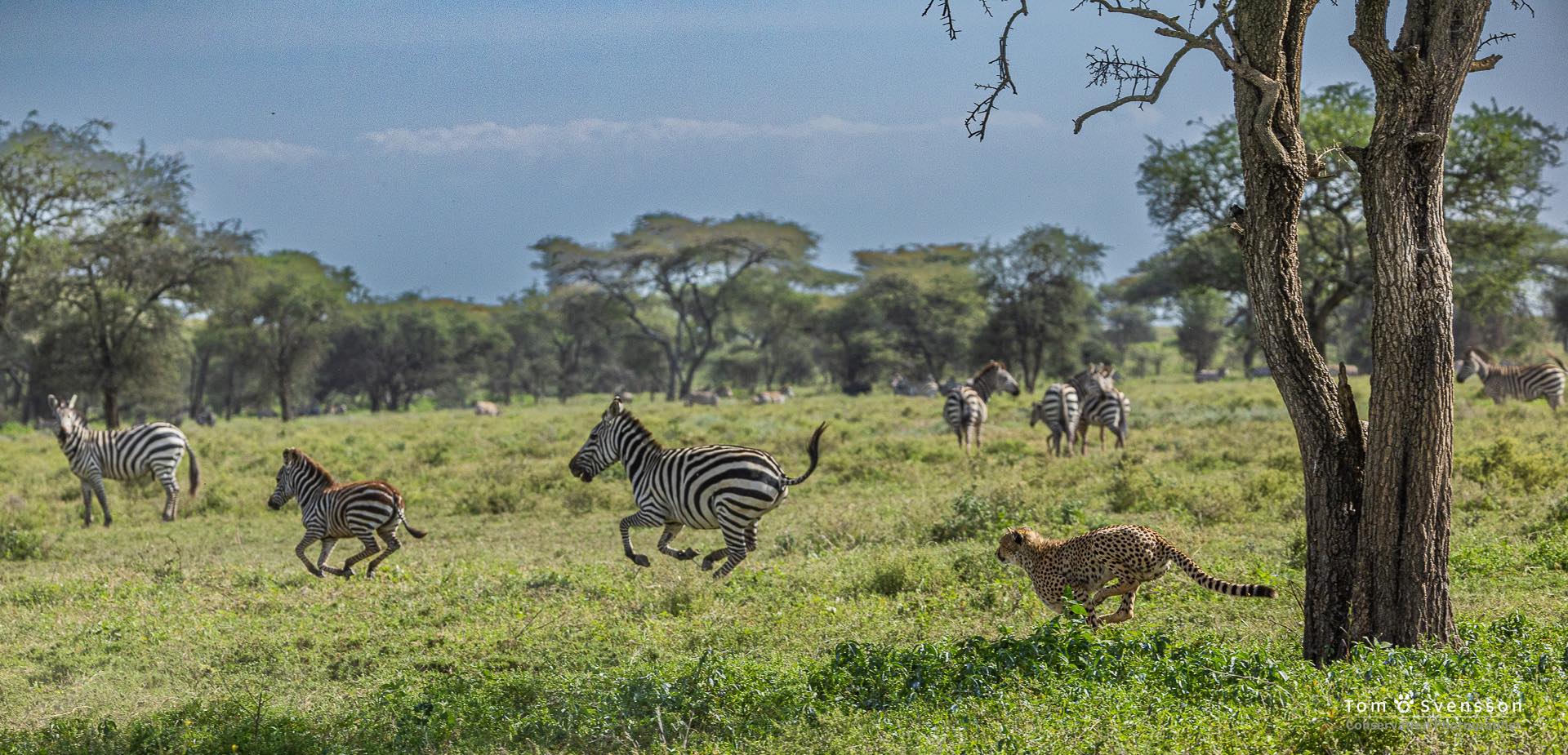 330277966_1225388008100193_6230483805829026863_n (1).jpg