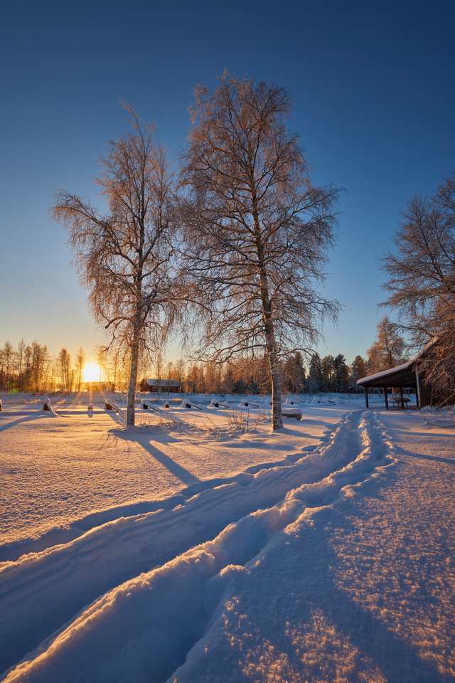 Canon RF 15-30_20w.jpg