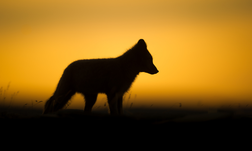 Roger_Brendhagen_48401818-5 2.jpg