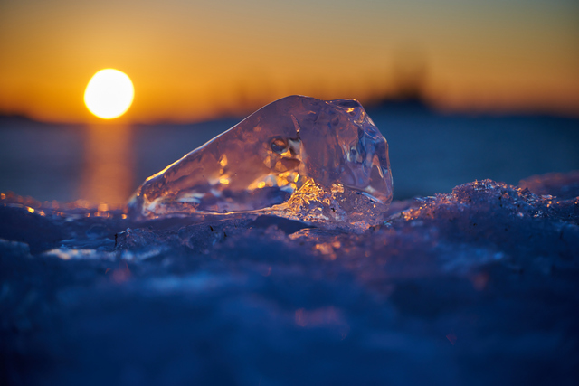 Nikon Z 28-75 f2.8_14w.jpg