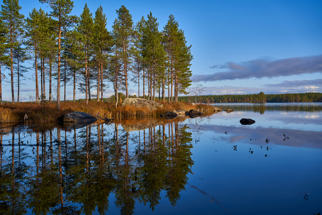 sony_fe_35_f1 8_5w.jpg