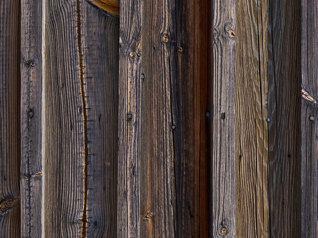 OM System 90mm macro_21w.jpg