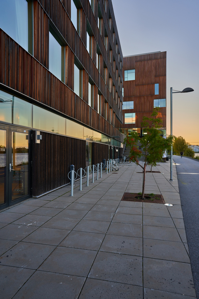 Sigma 24mm f2 DN_2w.jpg