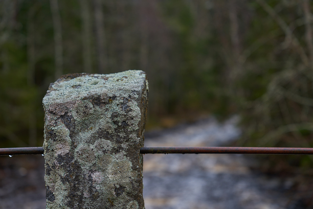 Sony FE 24-70 f2.8 GM II_16w.jpg