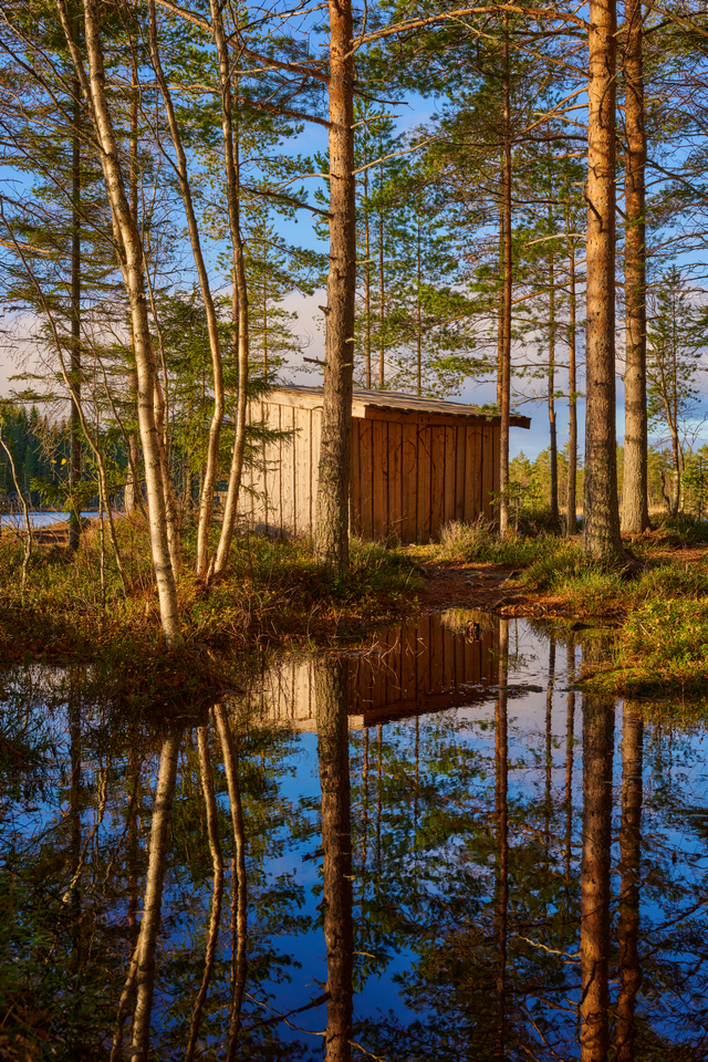 Nikon Z 40mm f2_8w.jpg