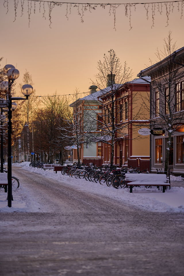 Nikon Z 85 1.8_30w.jpg