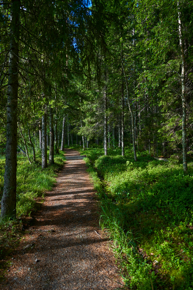 Sony 15mm f1.4_23w.jpg