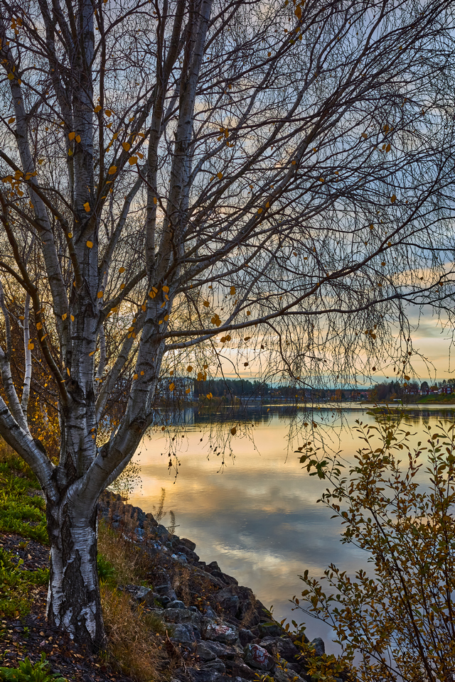 Ricoh GR IIIx_8w.jpg