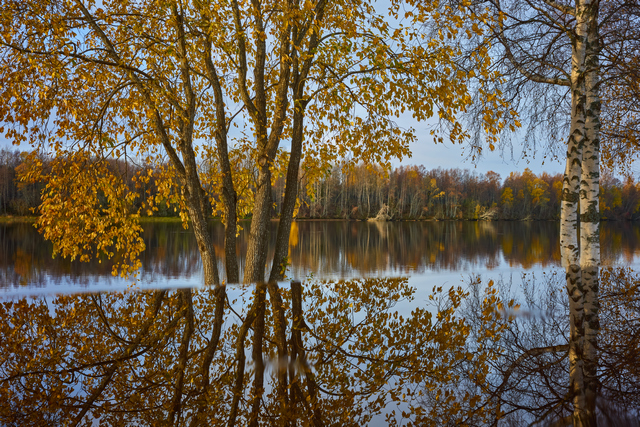 Ricoh GR IIIx_23w.jpg