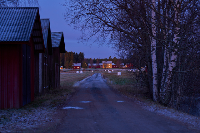 Sony FE 70-200 f2,8 II_28w.jpg