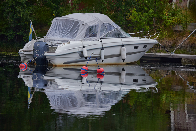 Canon RF 100-500_9w.jpg