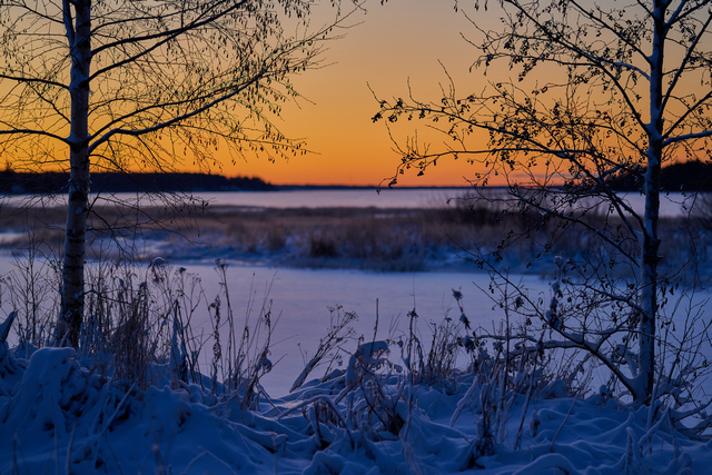 Nikon Z 85 1.8_27w.jpg