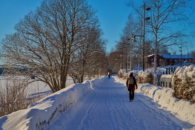 Sony FE 20-70mm f4_4w.jpg