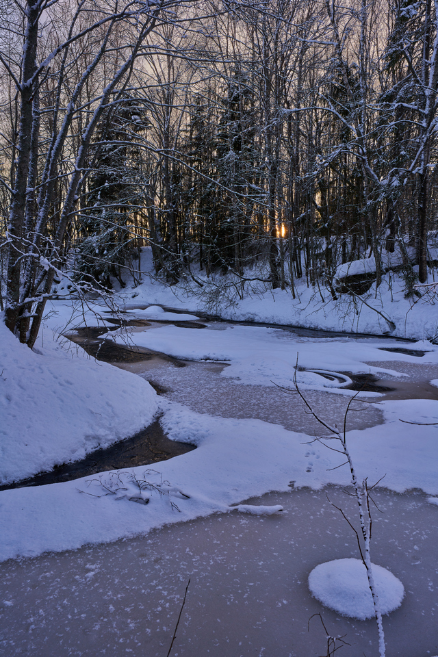 Samyang V-AF 24mm f1.8_16w.jpg