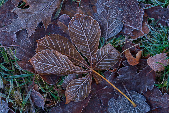 Sony FE 70-200 f2,8 II_22w.jpg