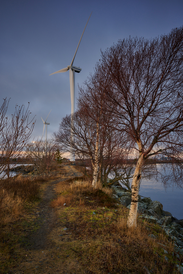 Nikon Z 17-28 f2.8_17w.jpg