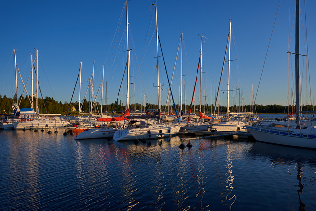 Tamron 11-20mm_19w.jpg