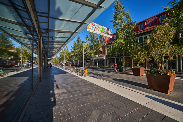 Laowa 12-24mm_14w.jpg