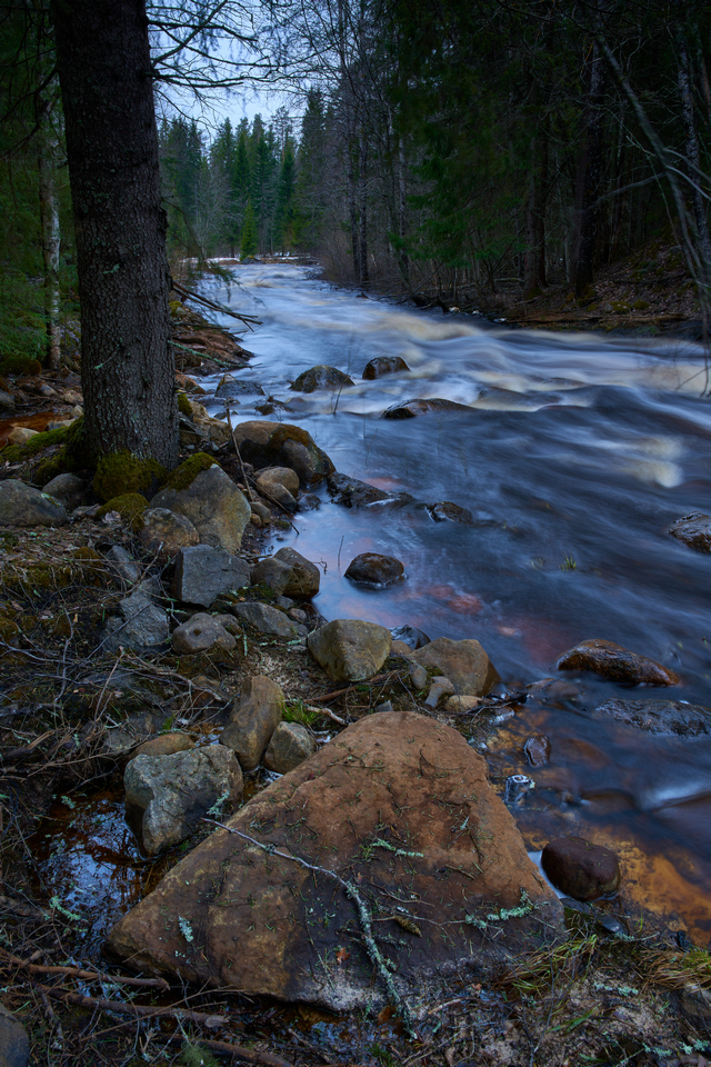 Sigma 28-70 DN_6w.jpg