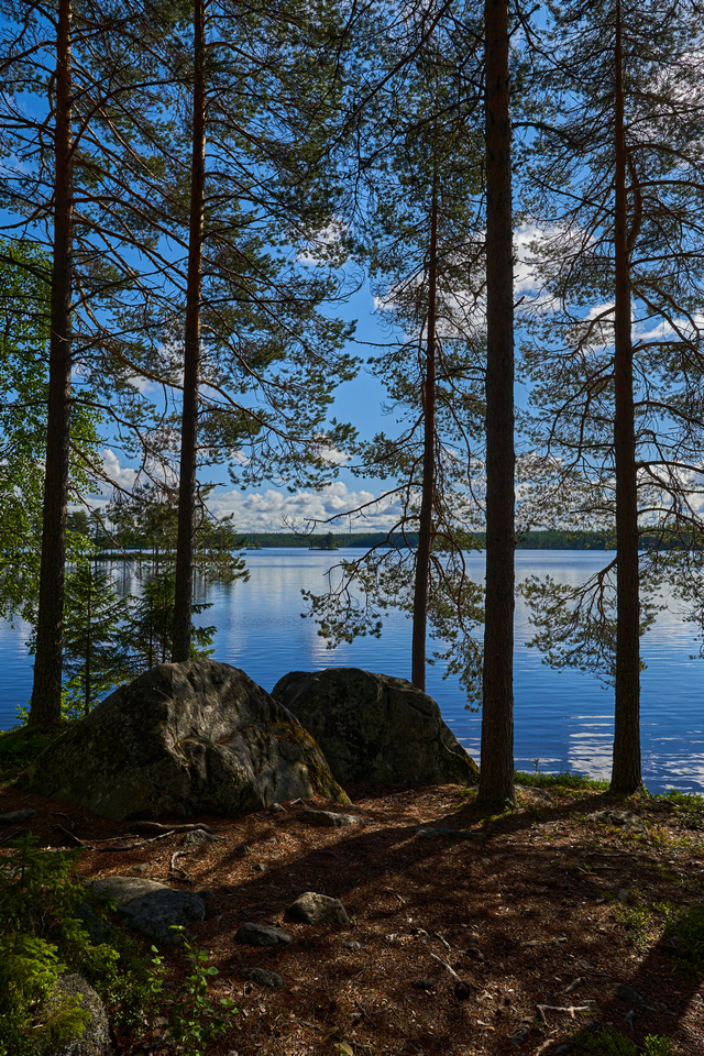 Sony 15mm f1.4_11w.jpg