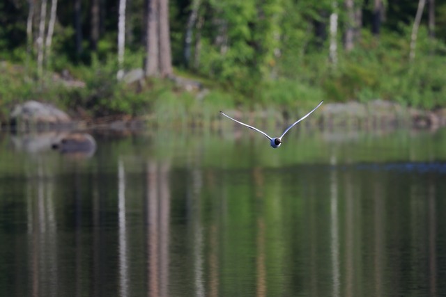 Canon EOS R7_27w.jpg