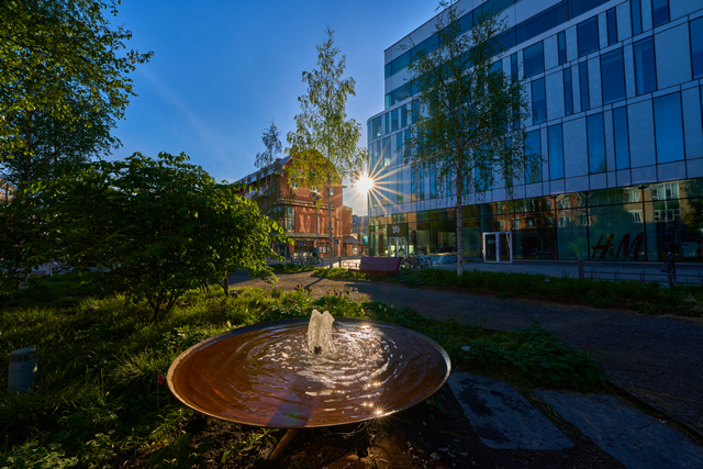 Sony 14mm f1.8_6w.jpg