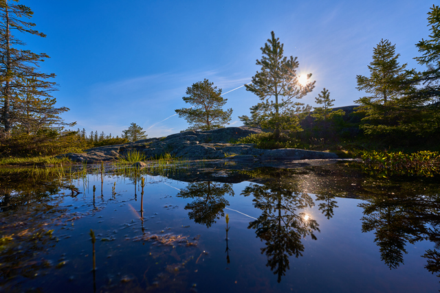 Sony 14mm f1.8_11w.jpg