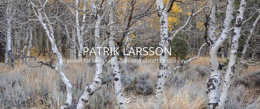 Skärmavbild 2021-05-04 kl. 15.44.28.png