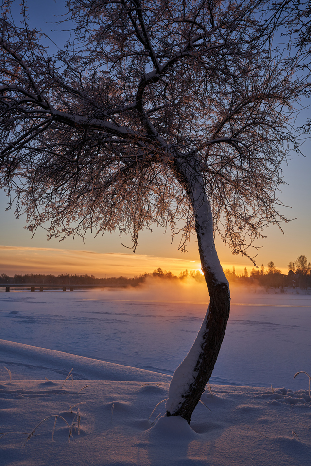 Tamron 20-40mm_20w.jpg