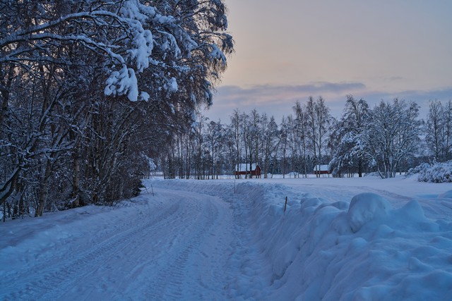 Sony FE 50mm f1.4 GM_5w.jpg