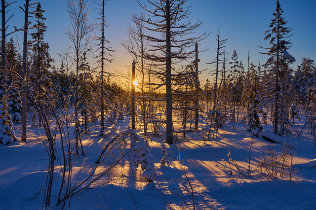 Nikon Z 18-140mm_32w.jpg