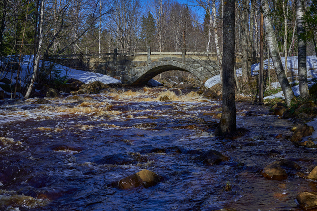 Sony 40mm f2.5_11w.jpg