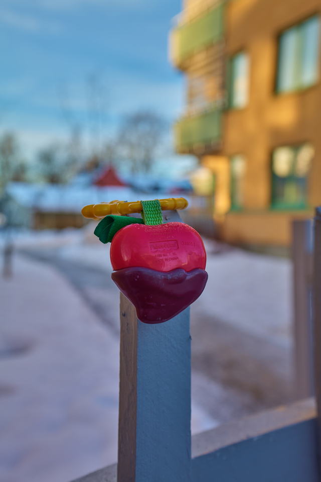 panasonic S 1635_16w.jpg