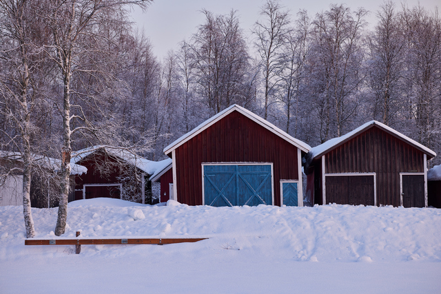 Canon RF 135 f1.8_1w.jpg