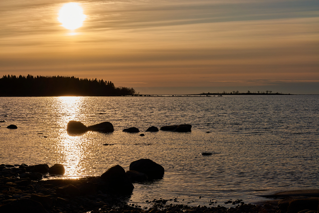 Sony 40mm f2.5_2w.jpg