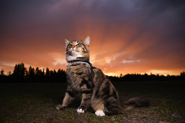 DSCF4216 2_blogg.jpg