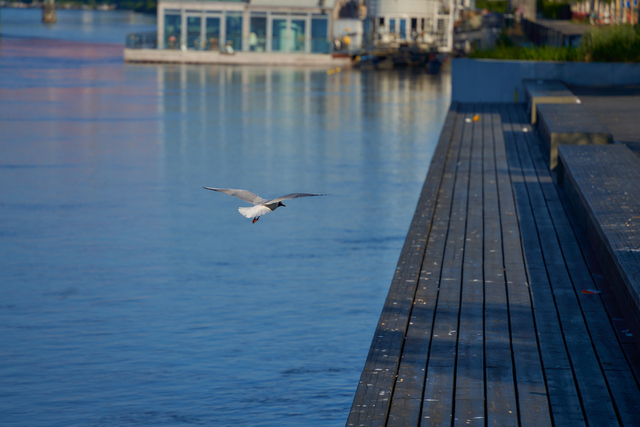 Tamron 28-200 sony_19w.jpg