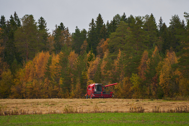 Tamron 50-400mm_11w.jpg