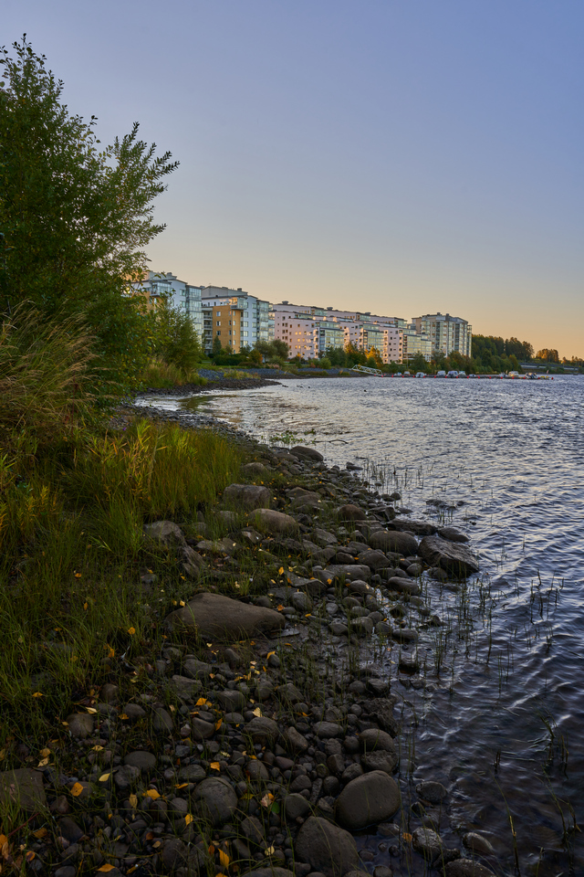 Sigma 24mm f2 DN_9w.jpg