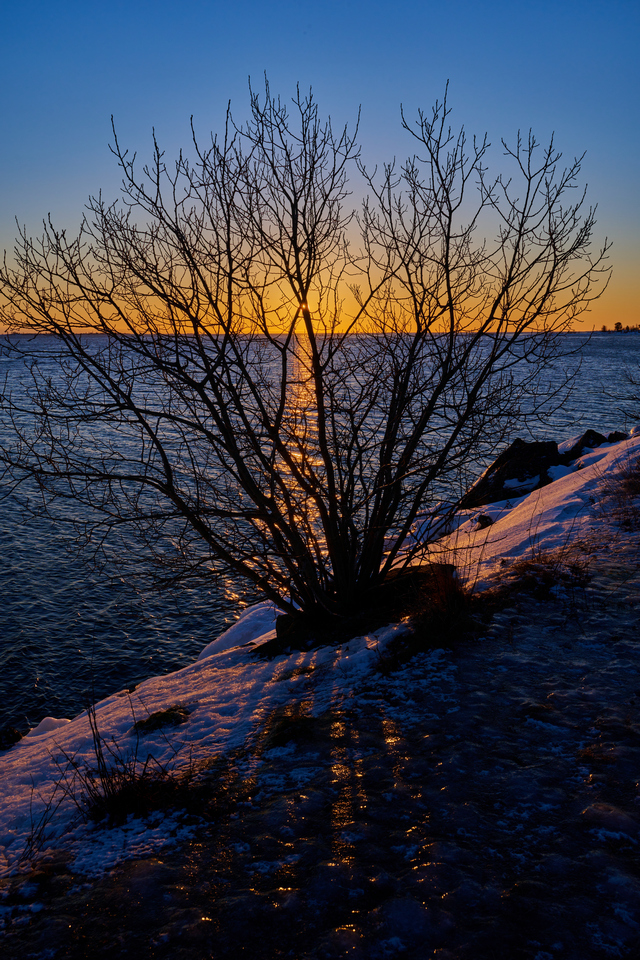 Nikon Z 28-75 f2.8_18w.jpg